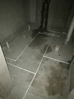 牡丹园